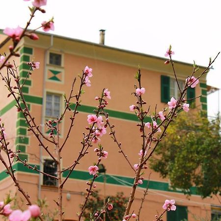 Appartamento Di Prestigio- Ca Da Lina - дева Марина Экстерьер фото